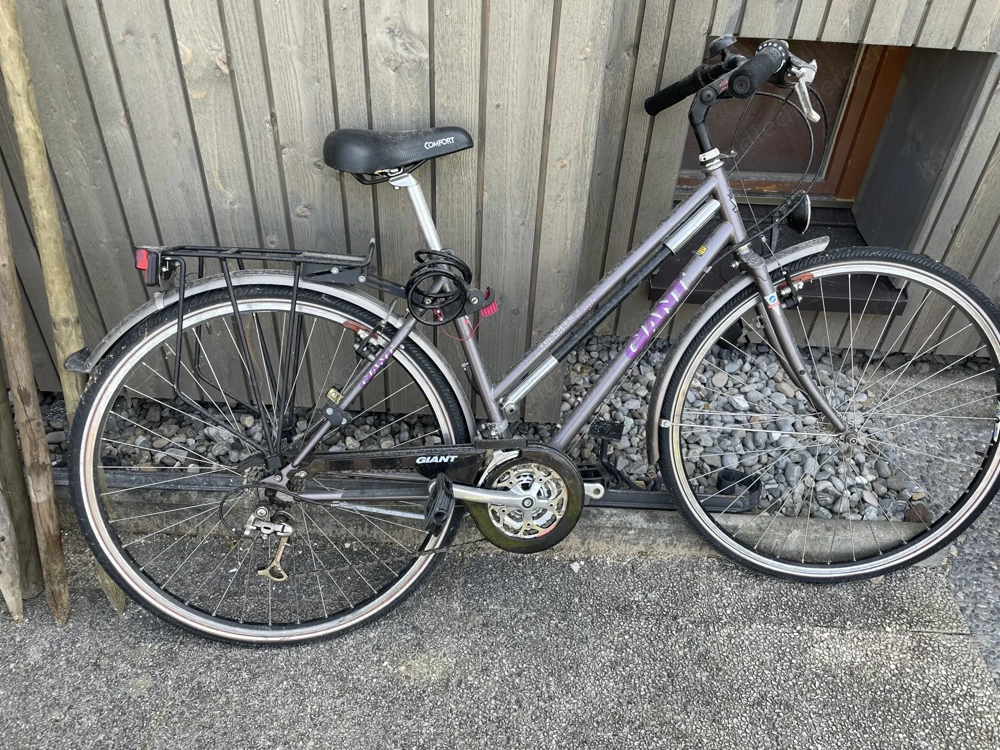 Damenrad Giant
