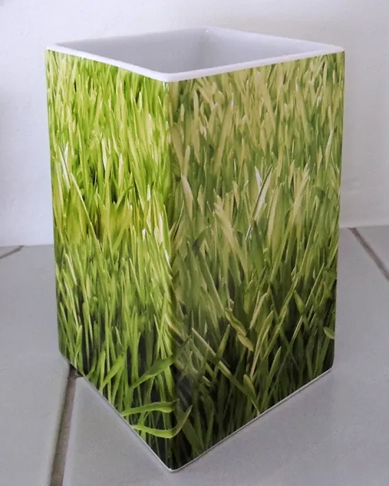 Diverse Vasen aus Porzellan, für Gestecke, Blumenvase, Dekotasche, Porzellan Tasche