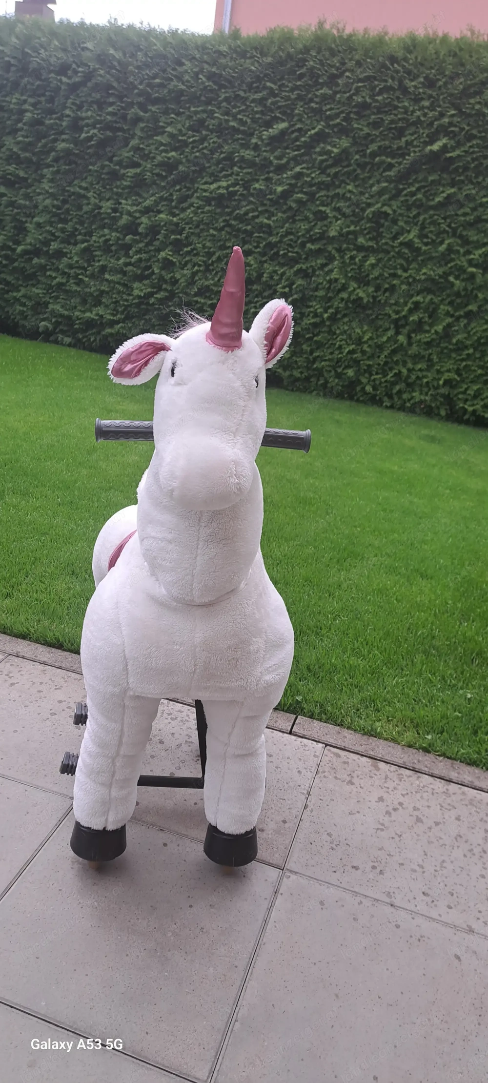 Reitpferd auf Rollen