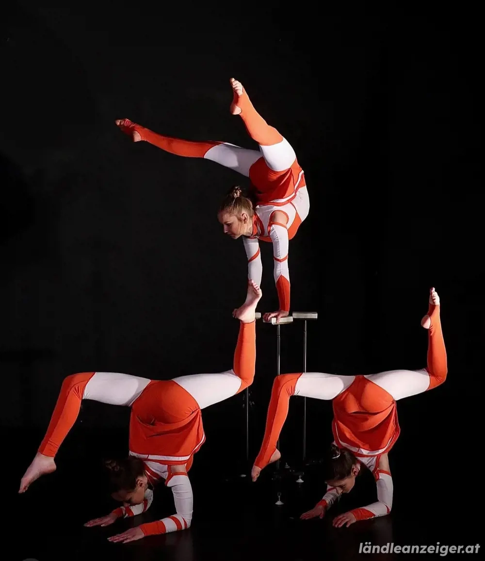 Kreativer, vielseitiger Künstler sucht Team 