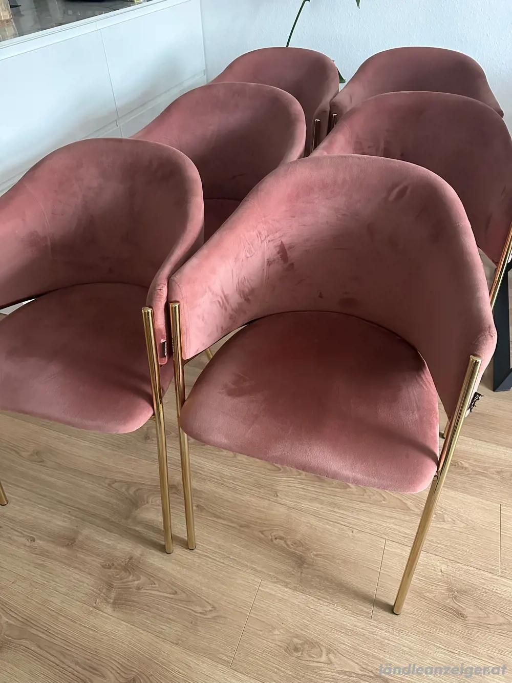 Stuhle(Rose mit gold)