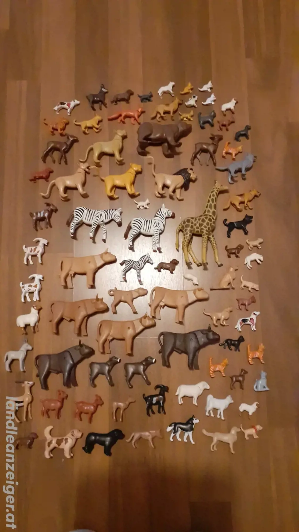 Playmobil Tiere groß und klein 