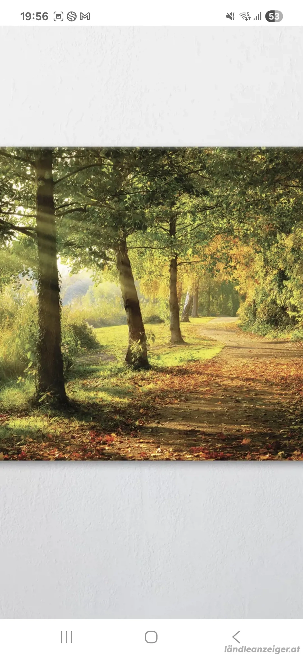 Suche Maisäß, Ferienhütte, Stadel