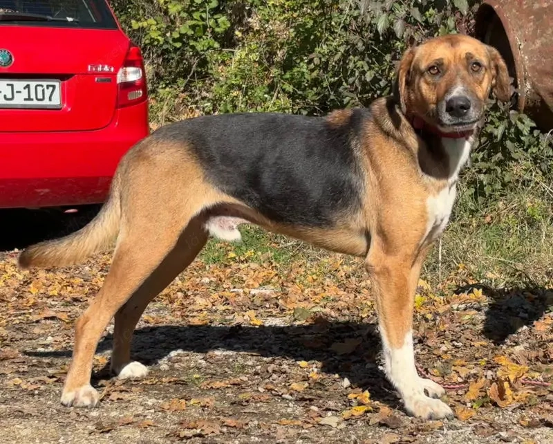 Bobby Boy träumt von SEINER eigenen Familie