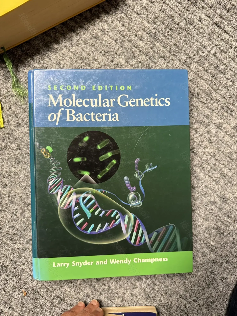 Molecular Genetics of Bacteria