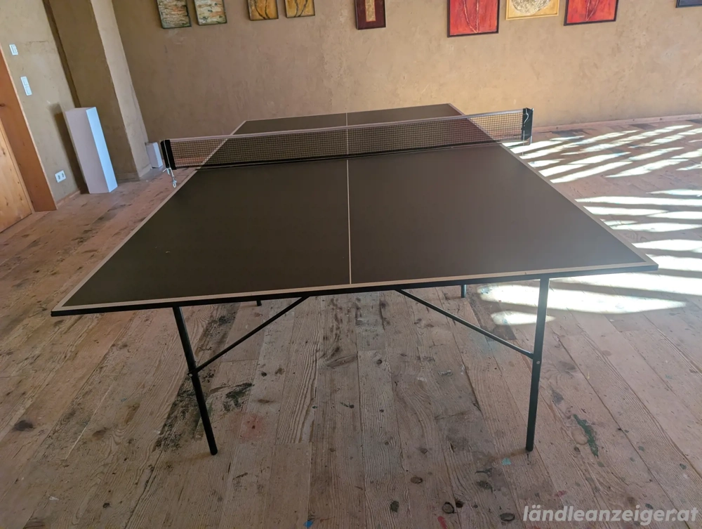 Tischtennisplatte zu verschenken 
