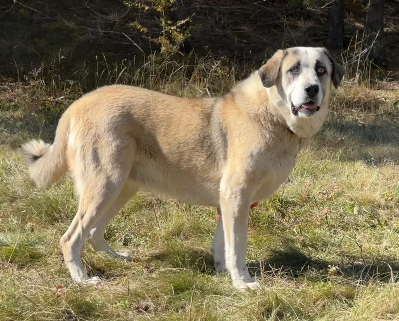 Lady Anne freut sich auf IHRE Menschen
