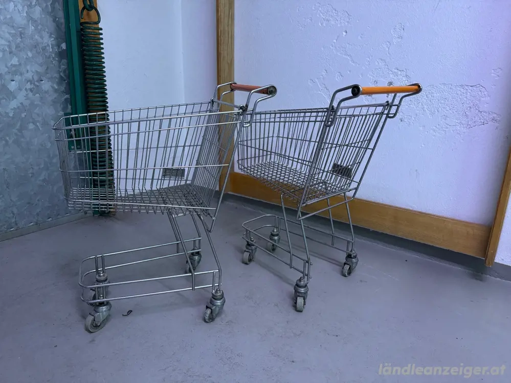 2 Kinder Einkaufswagen