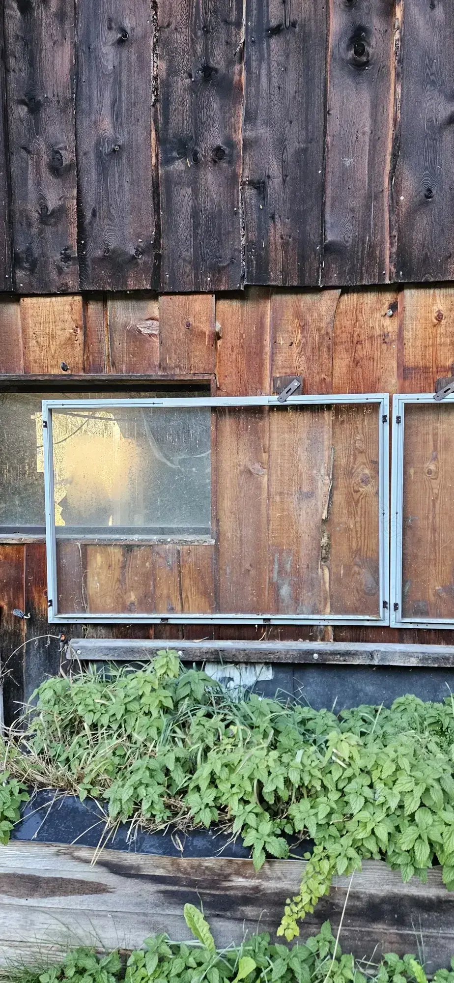 Glas   Fenster abzugeben