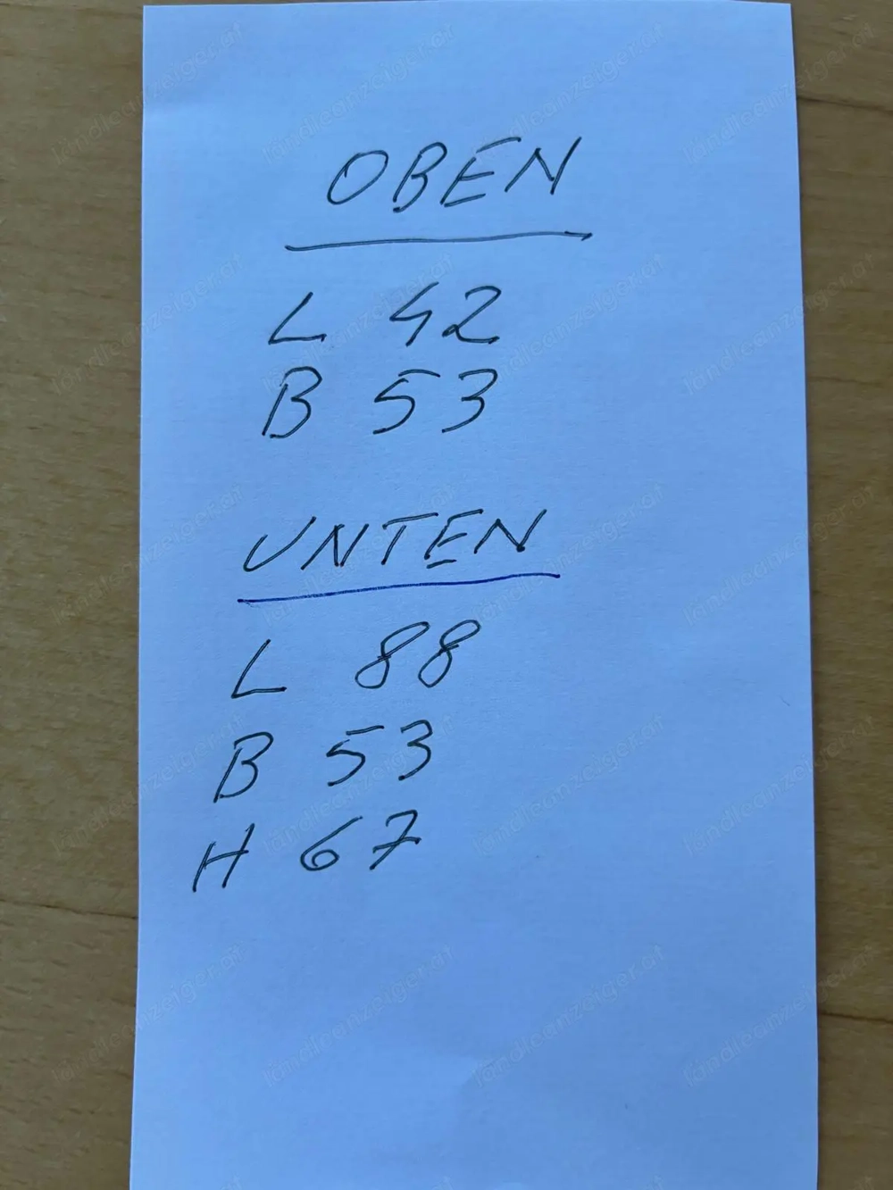 Hundebox - Whippet - BMW X5