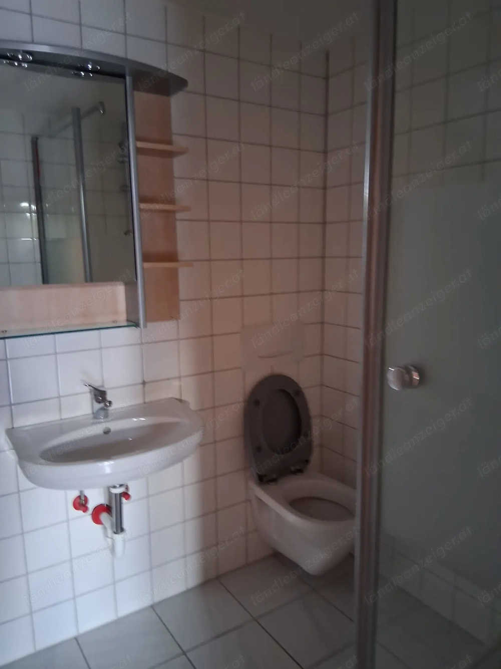 Vermiete doppelstöckige Singlewohnung in Gisingen