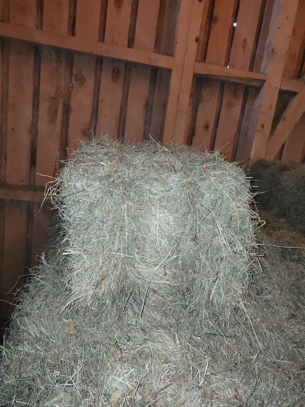  Kleinballen - Quaderballen Zweitschnitt 2025