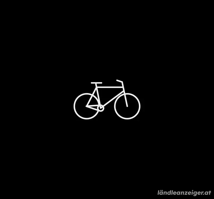 Günstiger Bike Winterservice