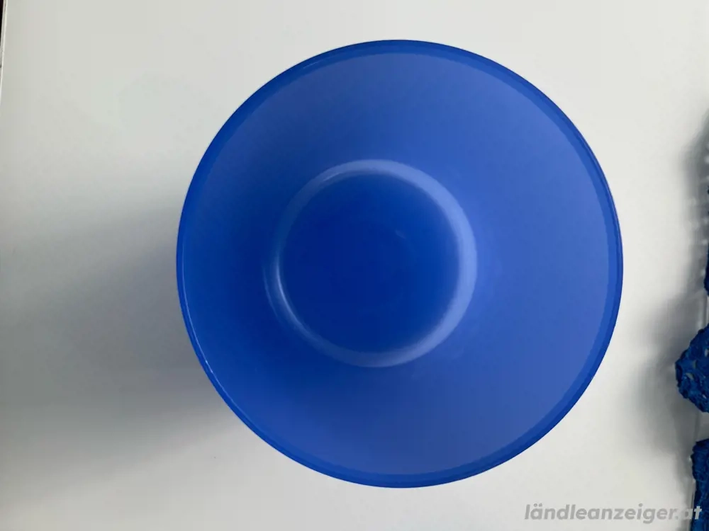 Tupperware 2l Behälter blau