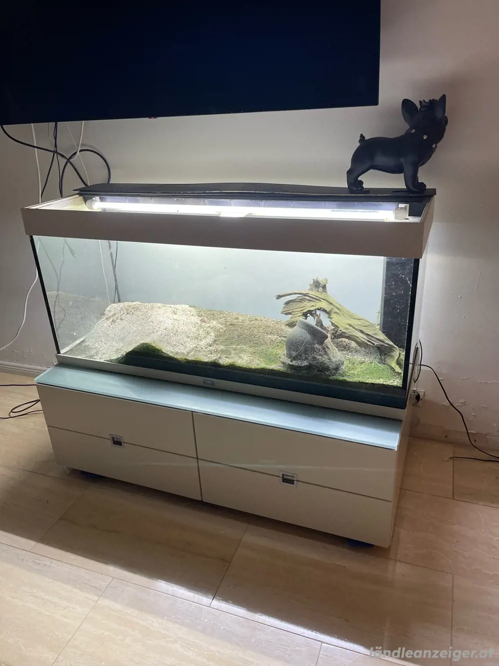 Aquarium 500l
