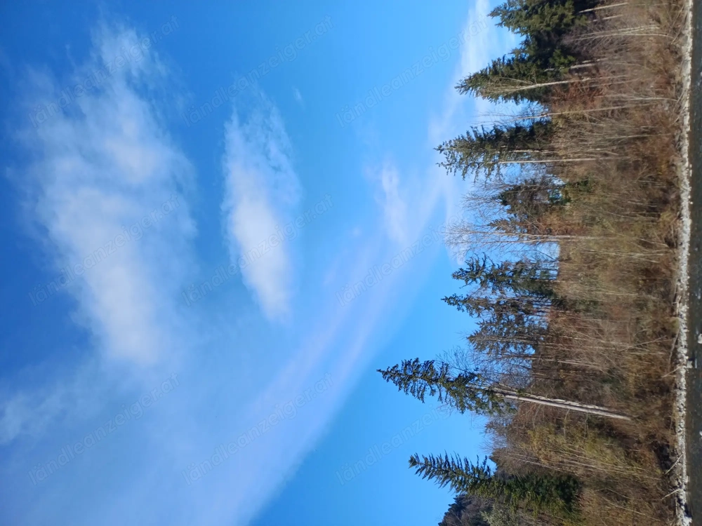 İch  suchen einen berg zum kaufen brengezerwald 