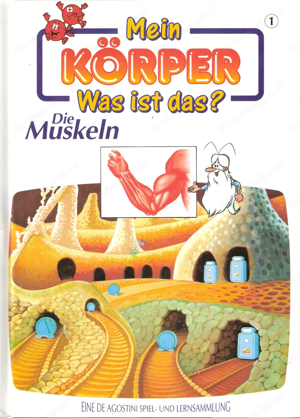 Mein Körper - Was ist das?