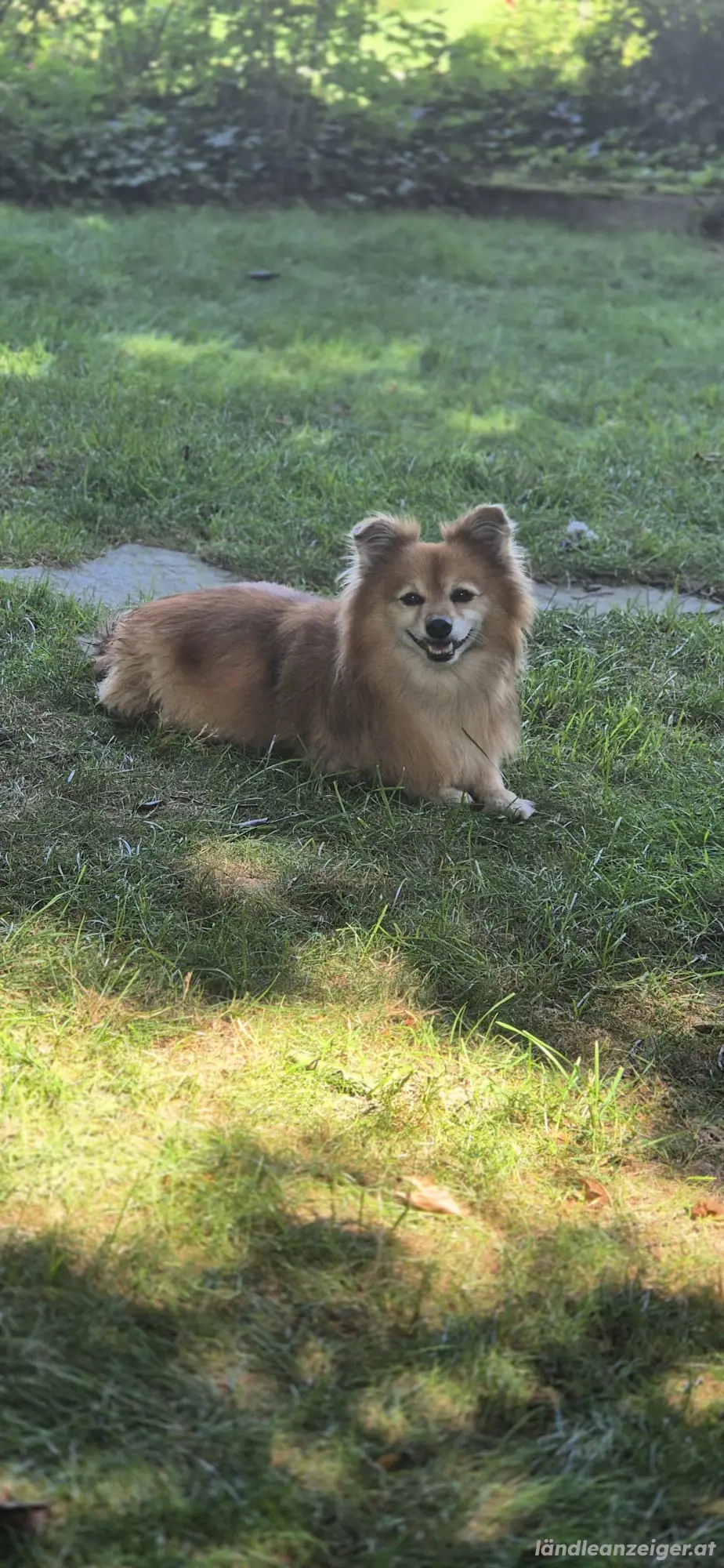 kleiner Senior such Tagesbetreuung 