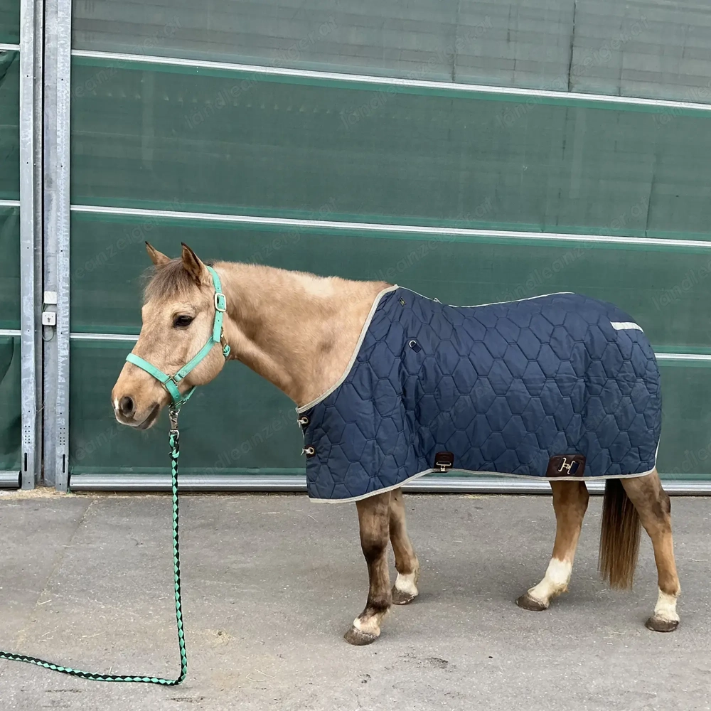 Big D Stable Blanket All American 