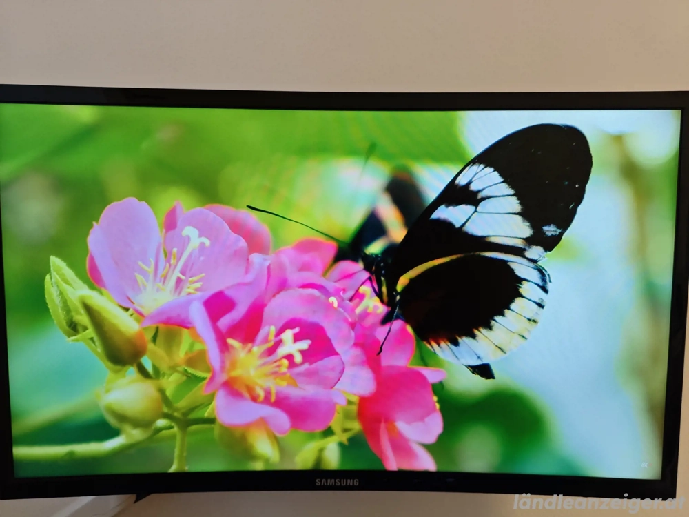 Samsung Monitor