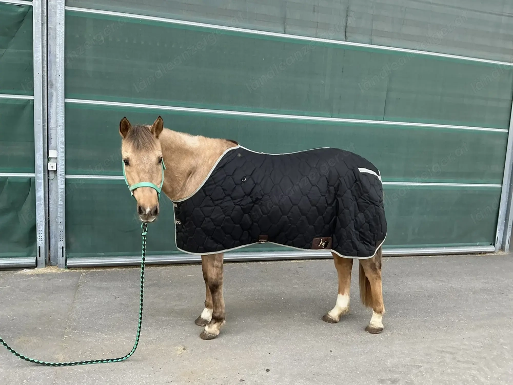 Big D Stable Blanket All American