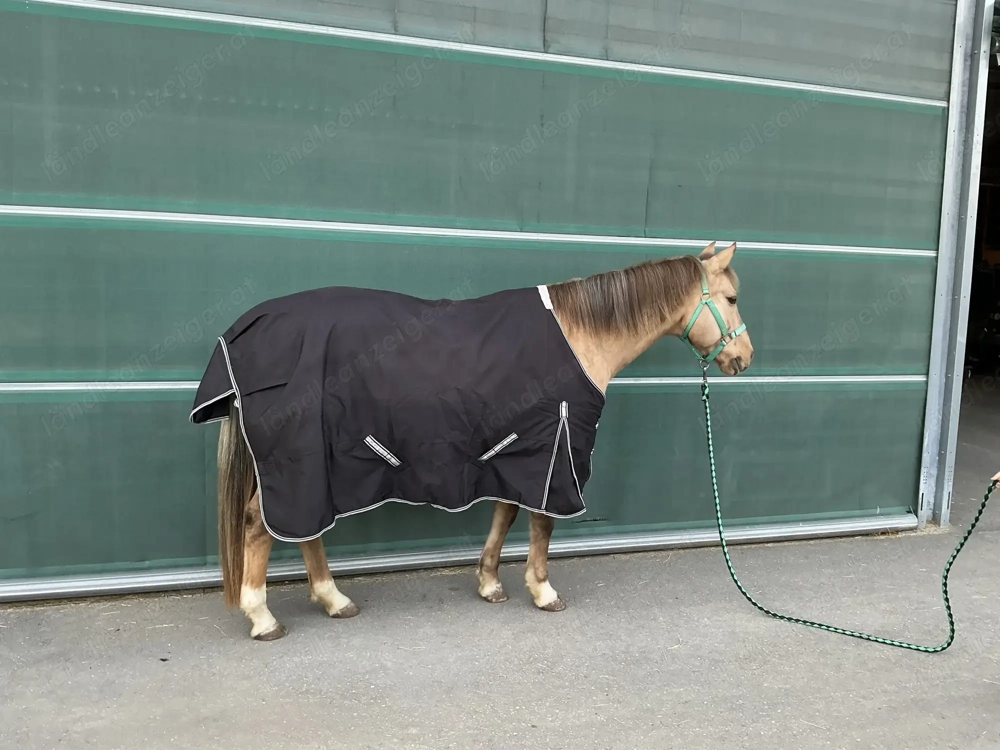 Tough Horse - Übergangsdecke - 135cm - 1200 D Polyester - wasserdicht 