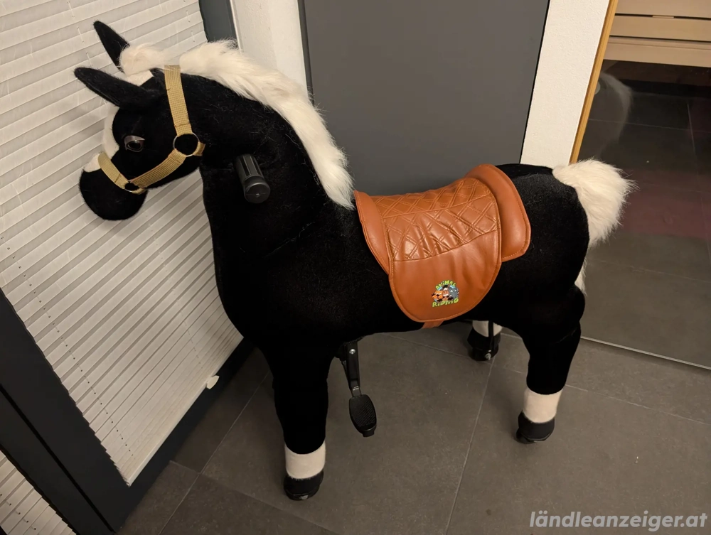 Pferd Reittier auf 4 Rollen 