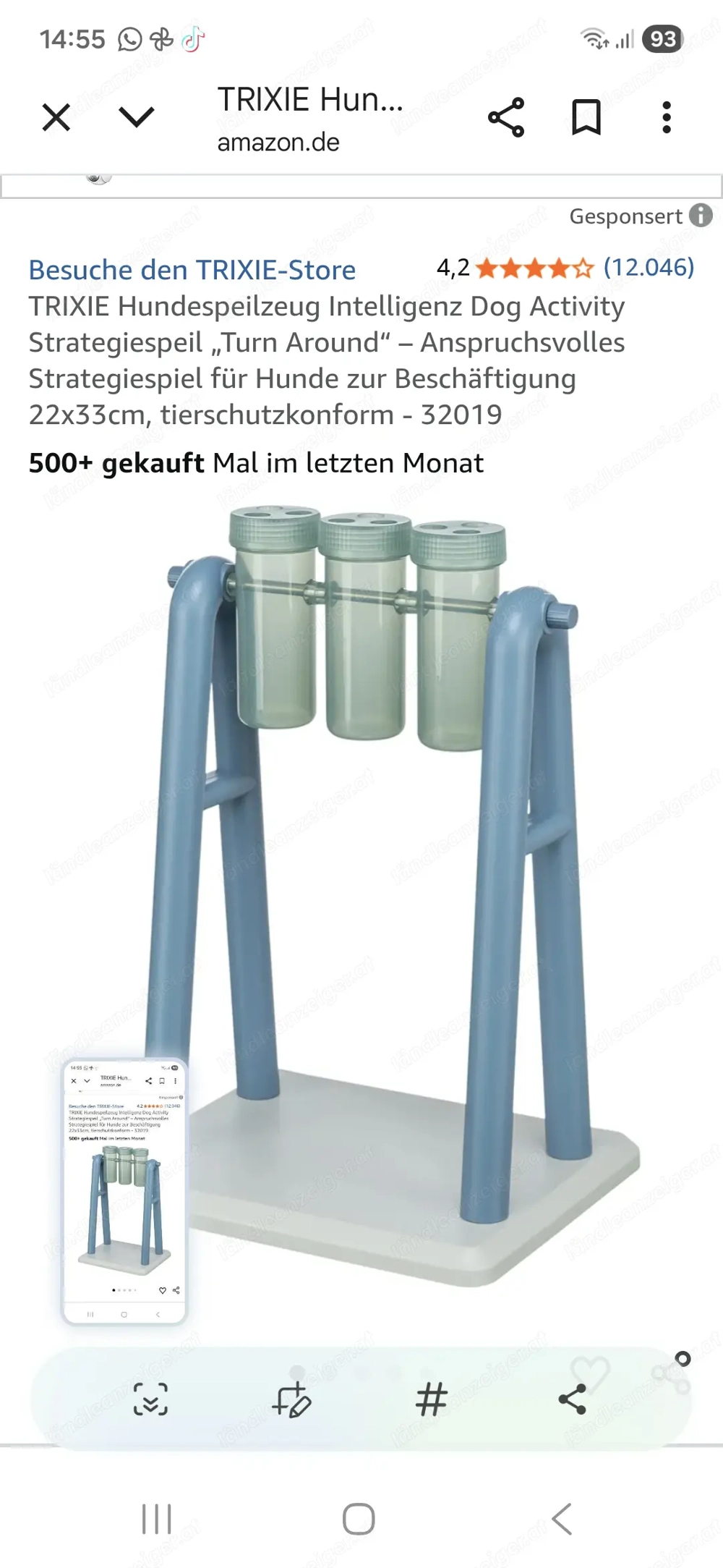 Hunde Intelligenz Spiele 