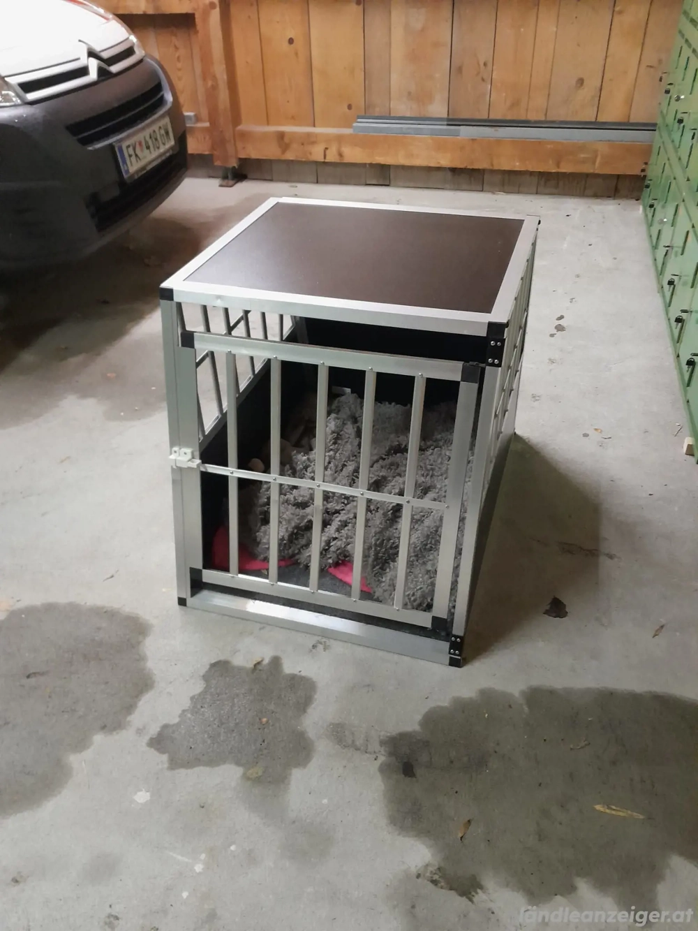 Hundebox Transportbox