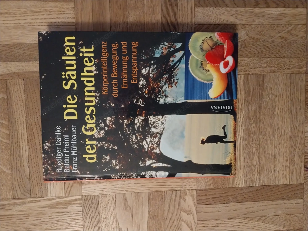 Buch: Die Säulen der Gesundheit von Rüdiger Dahlke