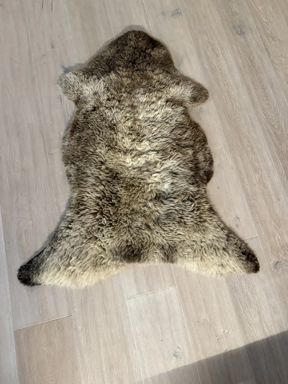 Schaf-Fell echt