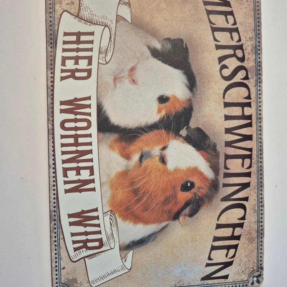 Meerschweinchen Zubehör