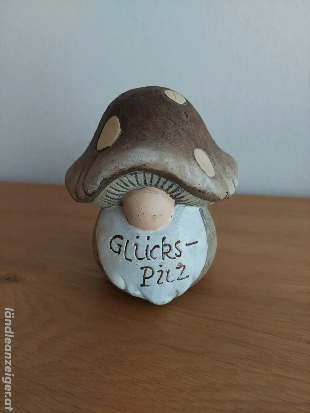 Deko Glückspilz