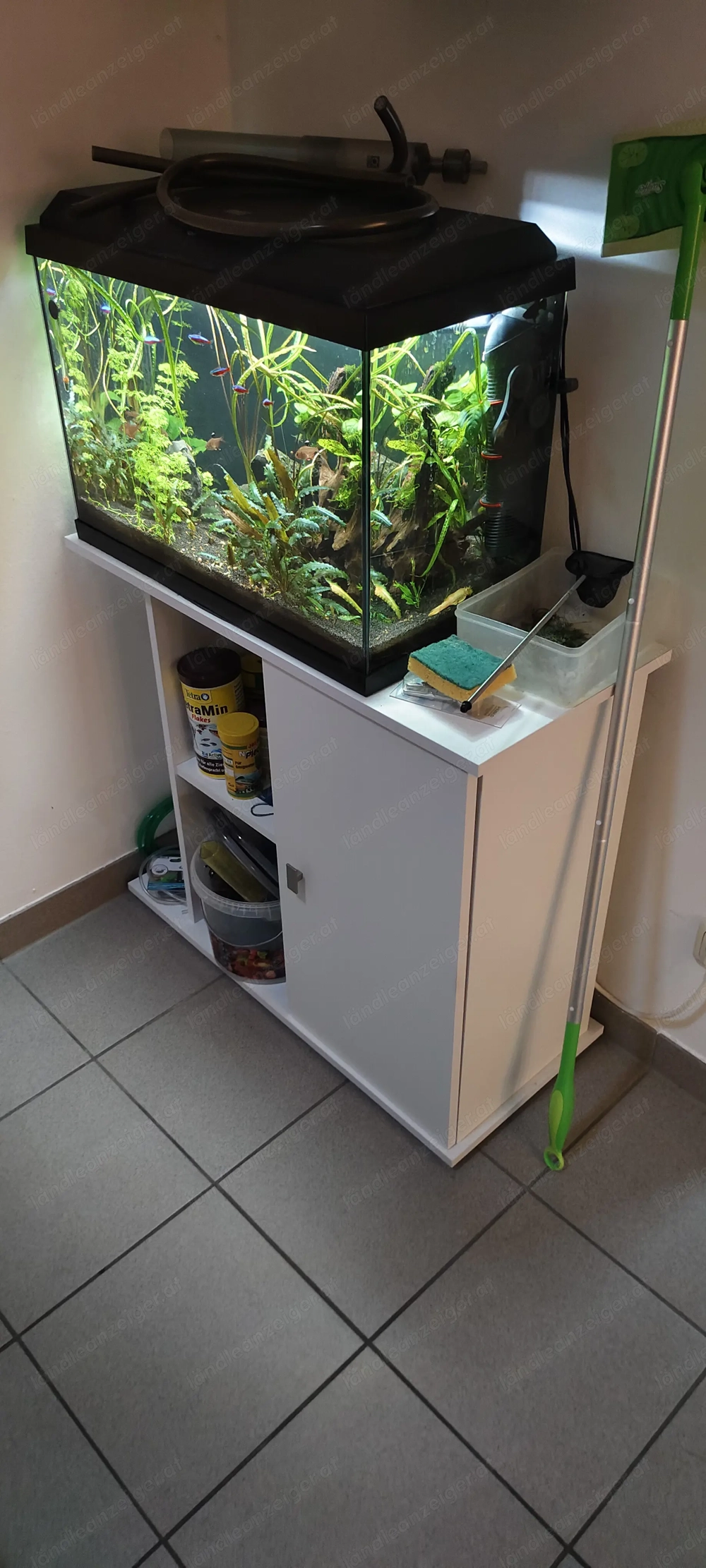 80L Aquarium mit Technik und Unterschrank