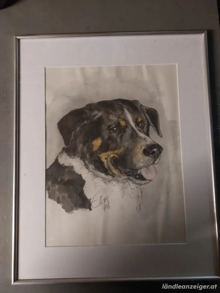 Bild Hunde Aquarell bild