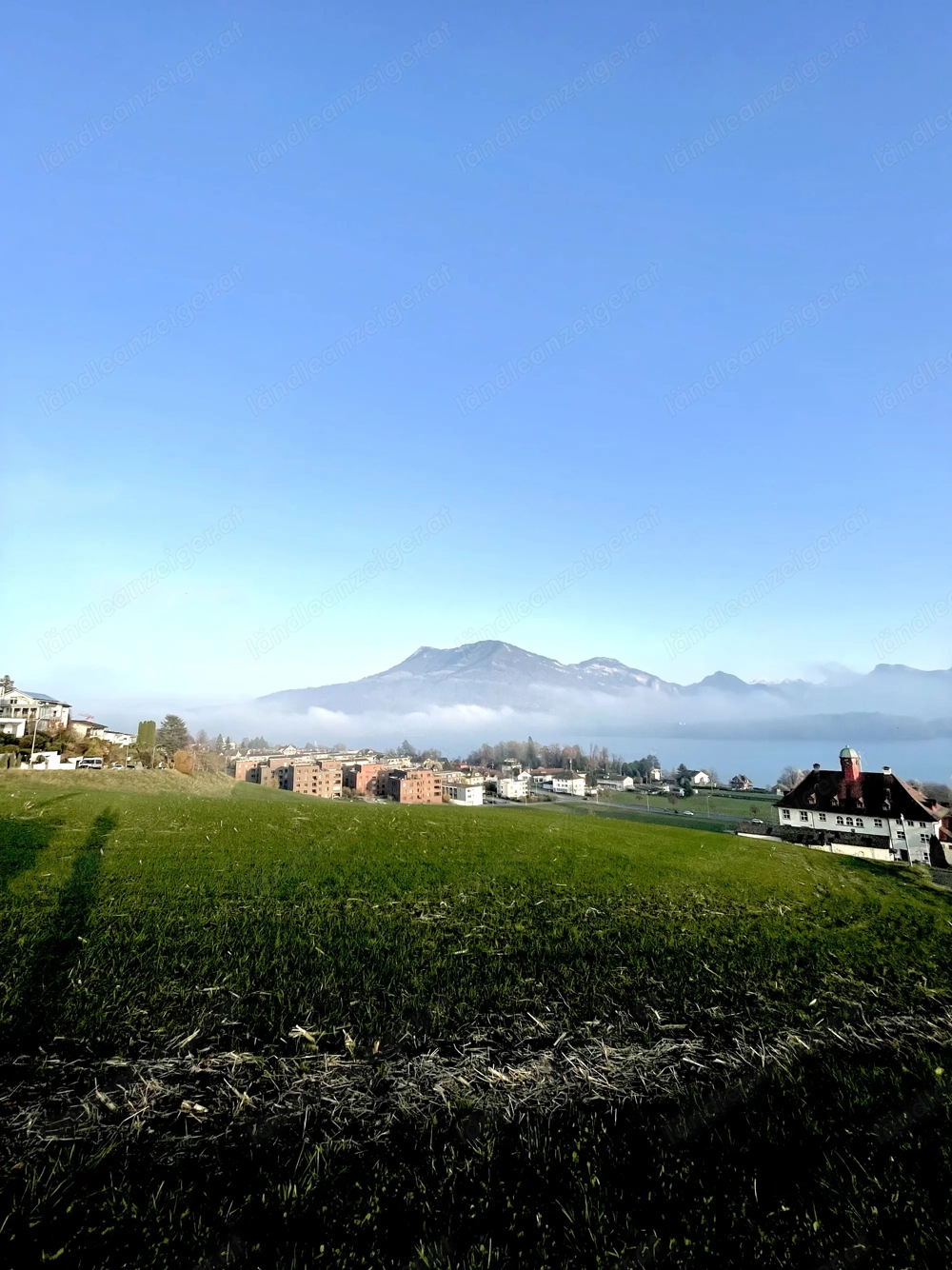 Zimmer mit Ausblick gesucht