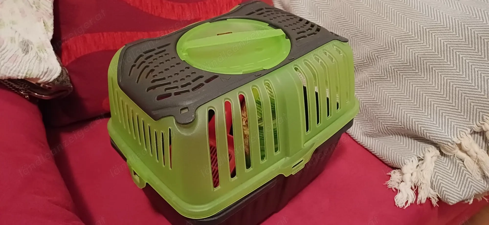 Transportbox und diverses Zubehör