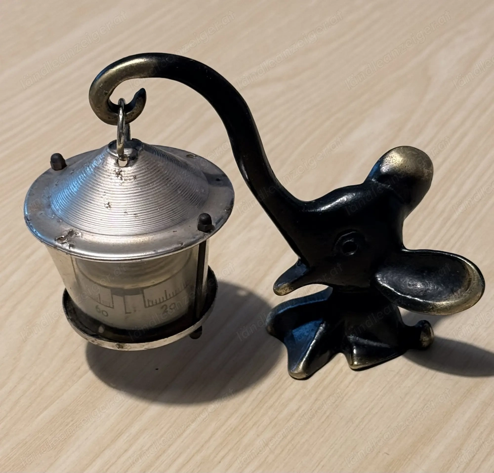  Elefant mit Thermometer 