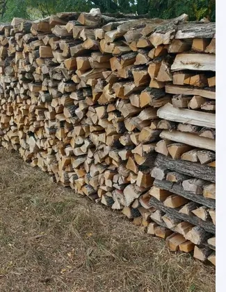 Brennholz günstig zu verkaufen