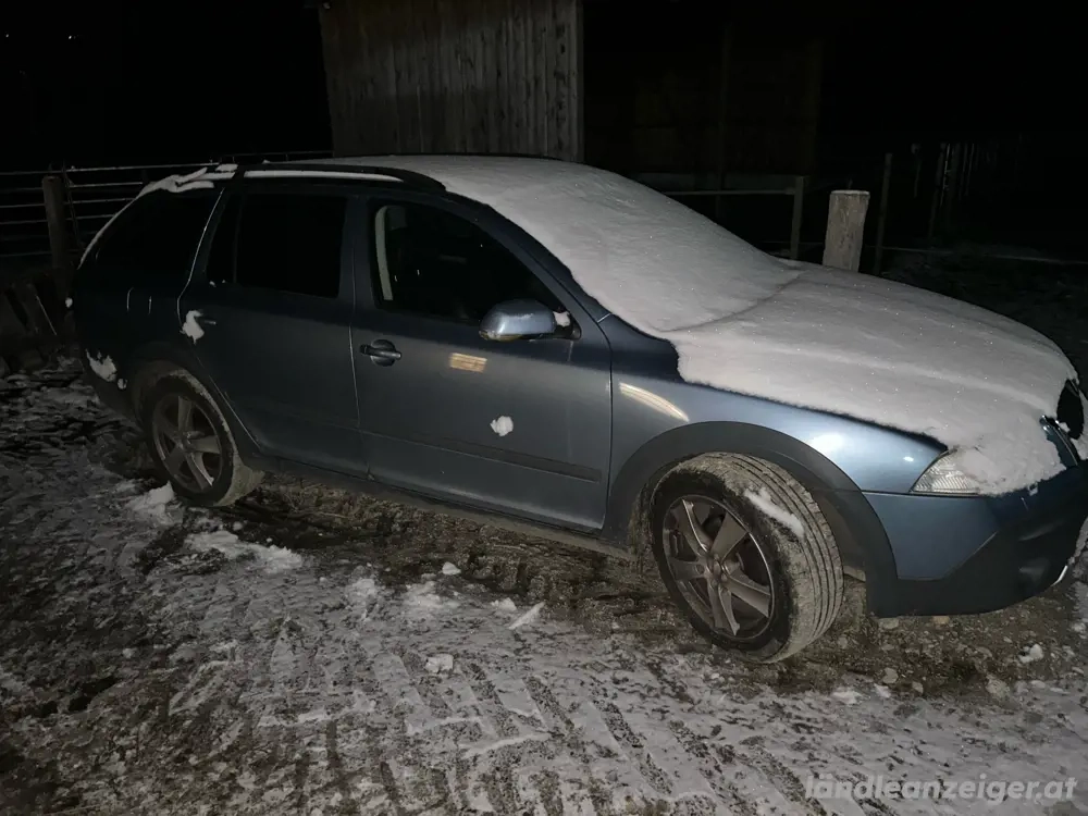 skoda octavia scout allrad 