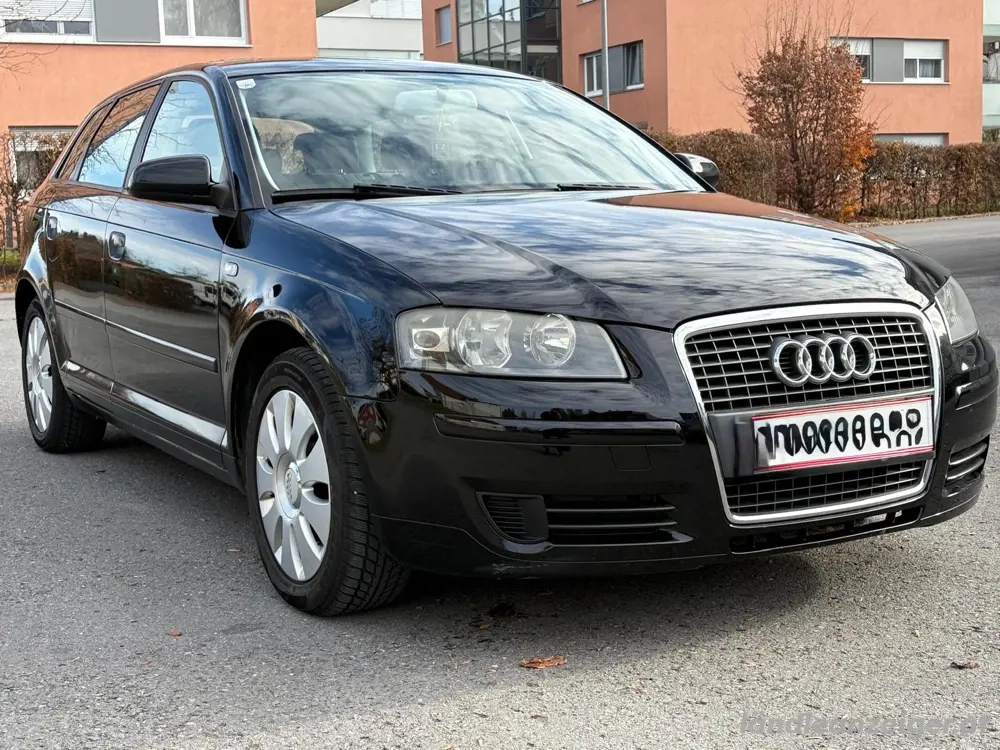 Audi A3 8P 1.9 Tdi
