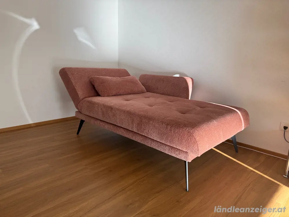 Liege Amira von Restyl