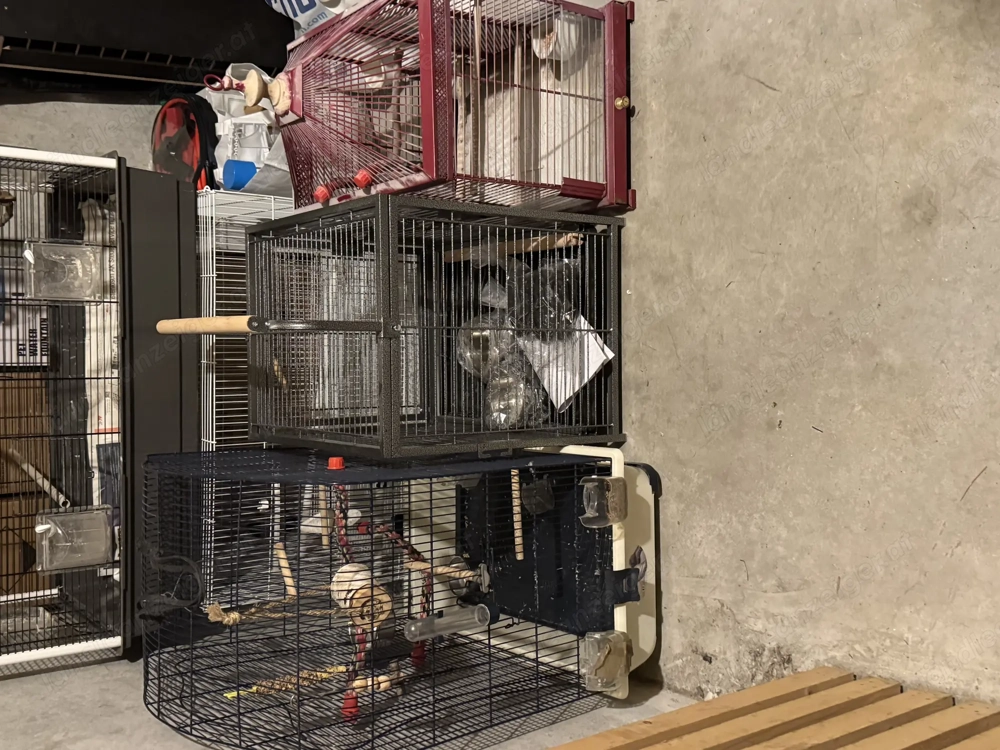 Vögel Käfig zum v