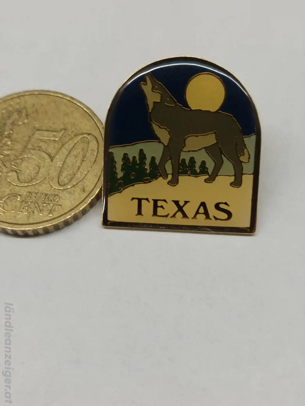Vintage Anstecker TEXAS