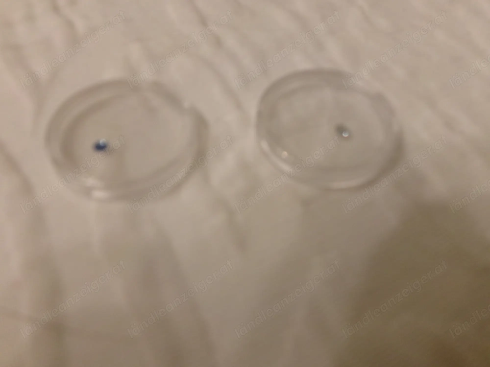 Zahnschmucksteine weiß + blau 