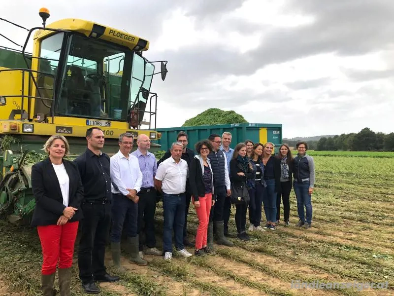 Möglichkeiten zur Finanzierung Ihrer Projekte in den Bereichen Landwirtschaft, Immobilien und andere