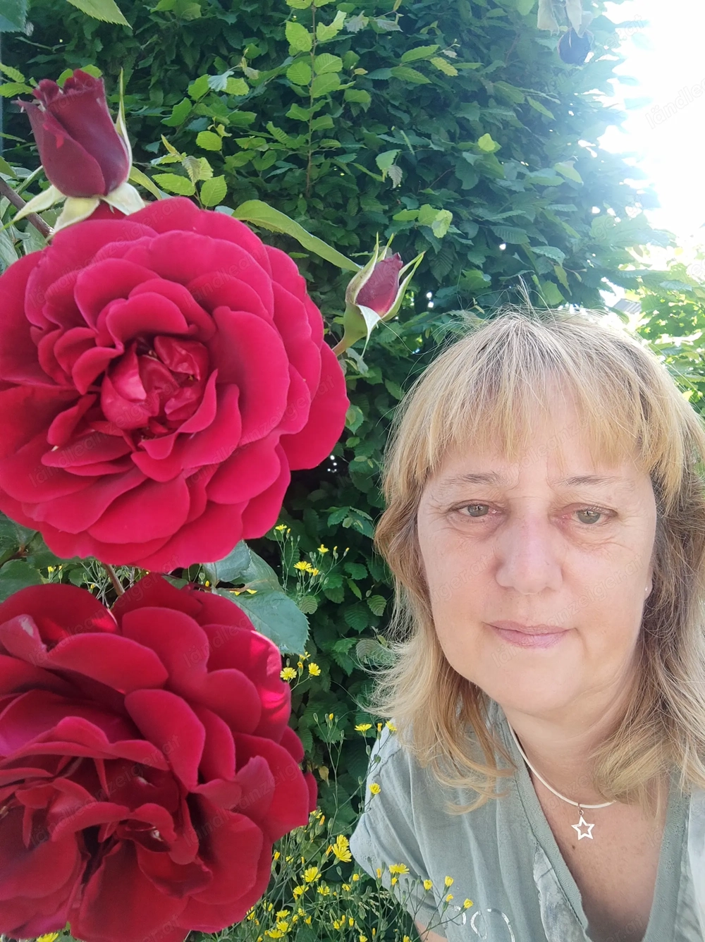 Engelein sucht teufel