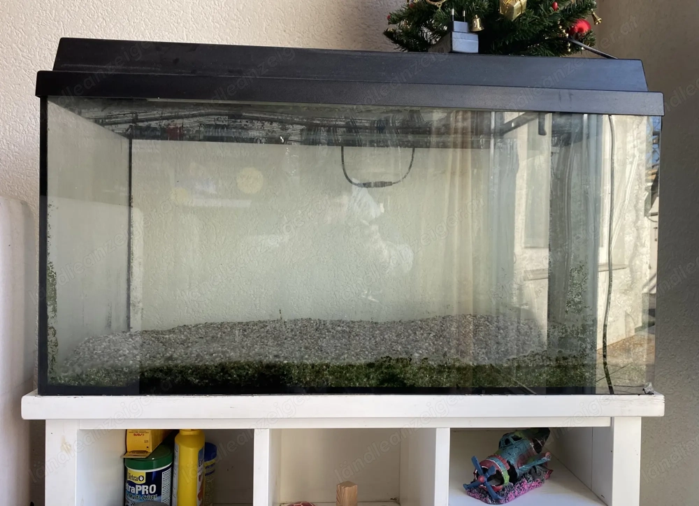 Aquarium zu verschenken!