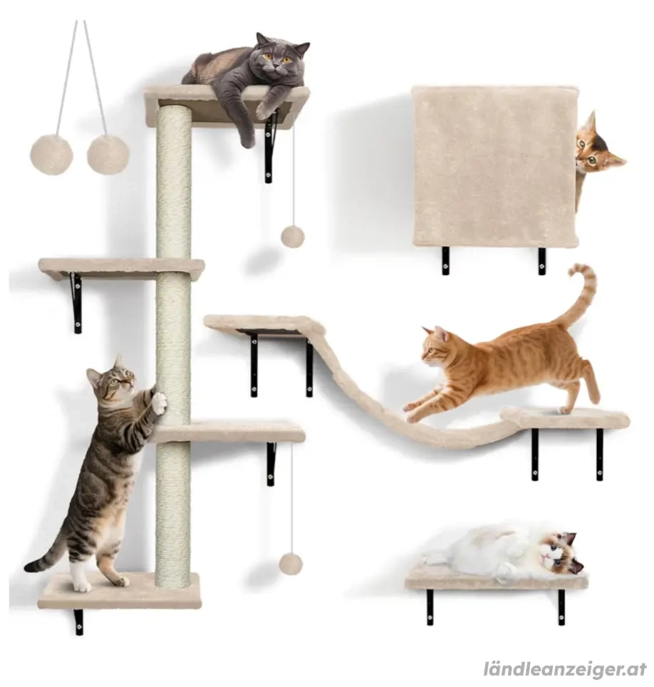 Katzen kratzbaum Wandmontage 