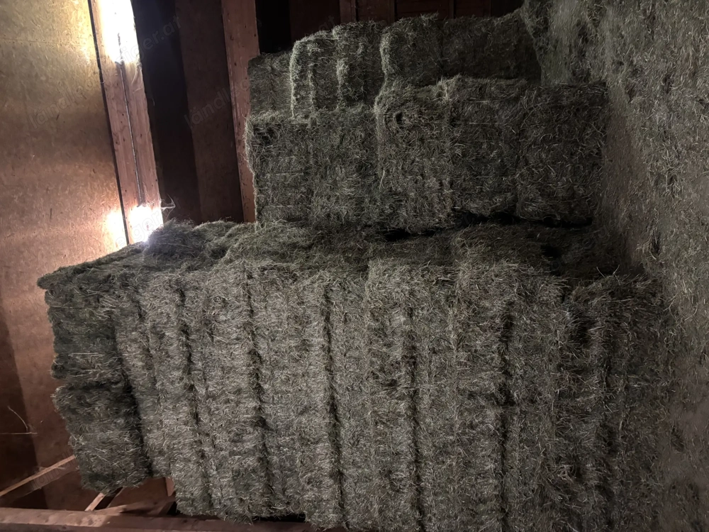Belüftungsheu + Stroh